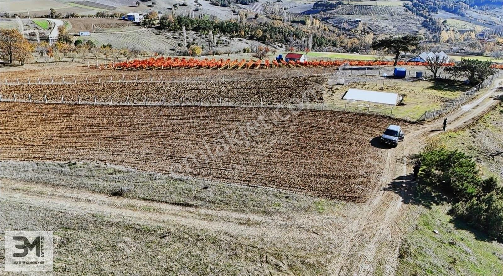 Sakarya Geyve Çine İmar Sınırı 3407m2 Panoramik Manzaralı Fırsat - Görsel 31