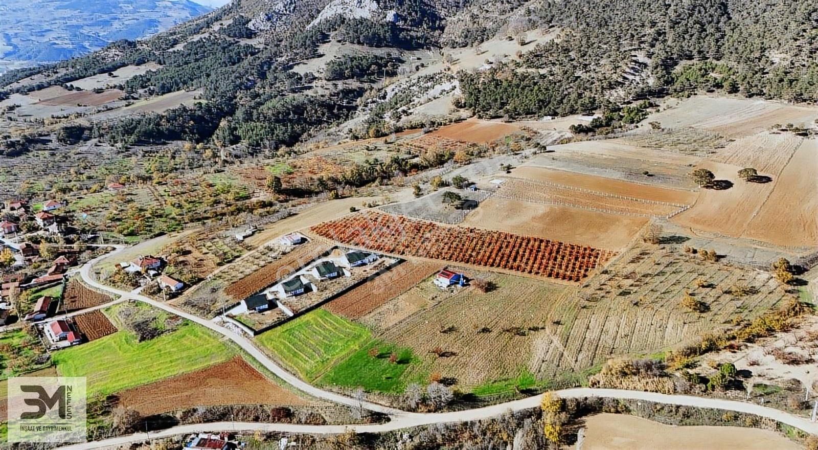 Sakarya Geyve Çine İmar Sınırı 3407m2 Panoramik Manzaralı Fırsat - Görsel 2