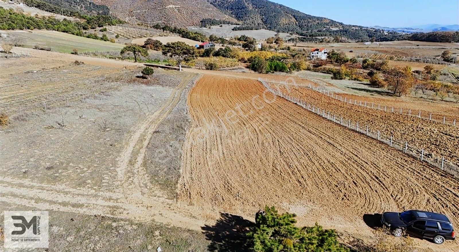 Sakarya Geyve Çine İmar Sınırı 3407m2 Panoramik Manzaralı Fırsat