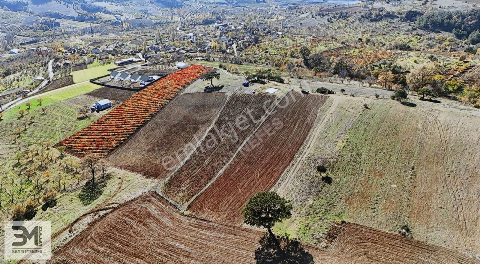 Sakarya Geyve Çine İmar Sınırı 3407m2 Panoramik Manzaralı Fırsat - Görsel 24