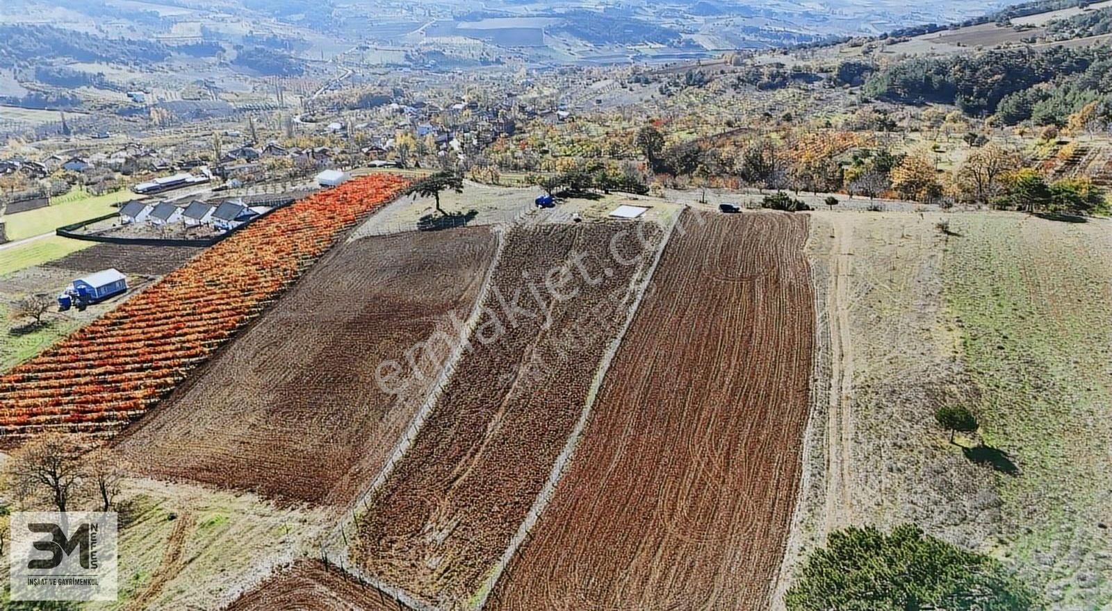Sakarya Geyve Çine İmar Sınırı 3407m2 Panoramik Manzaralı Fırsat - Görsel 32