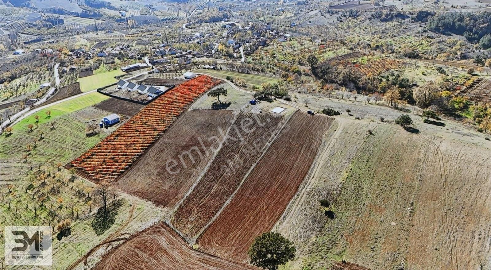 Sakarya Geyve Çine İmar Sınırı 3407m2 Panoramik Manzaralı Fırsat - Görsel 5