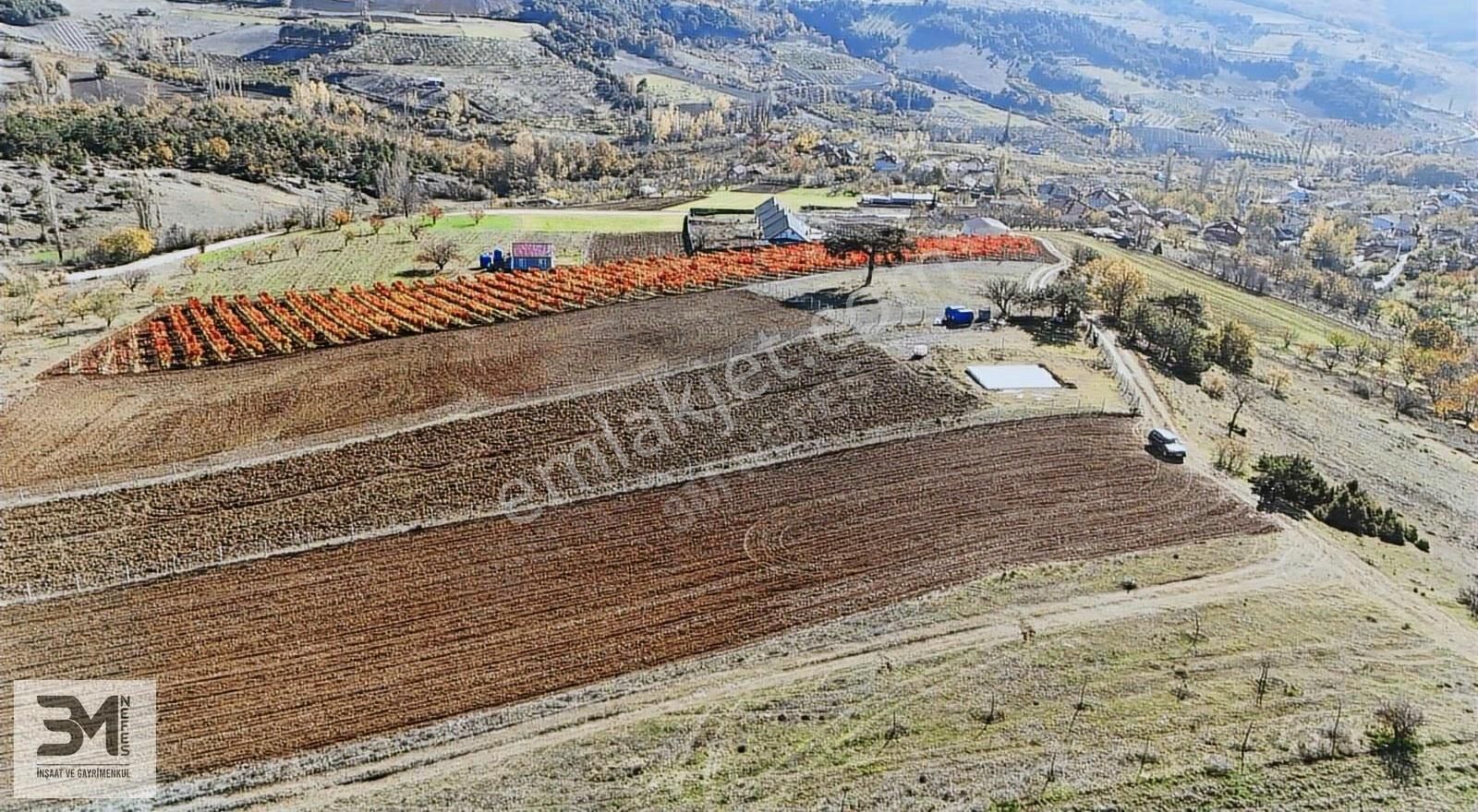 Sakarya Geyve Çine İmar Sınırı 3407m2 Panoramik Manzaralı Fırsat - Görsel 35