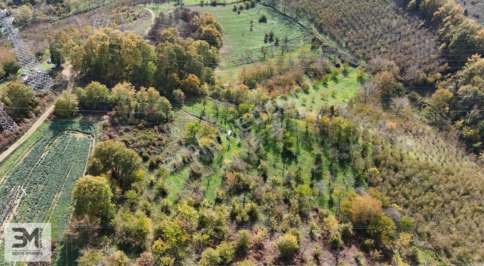 Sakarya Serdivan Aşağıdere 13386m2 Sapanca Gölü Manzaralı Fırsat - Görsel 3