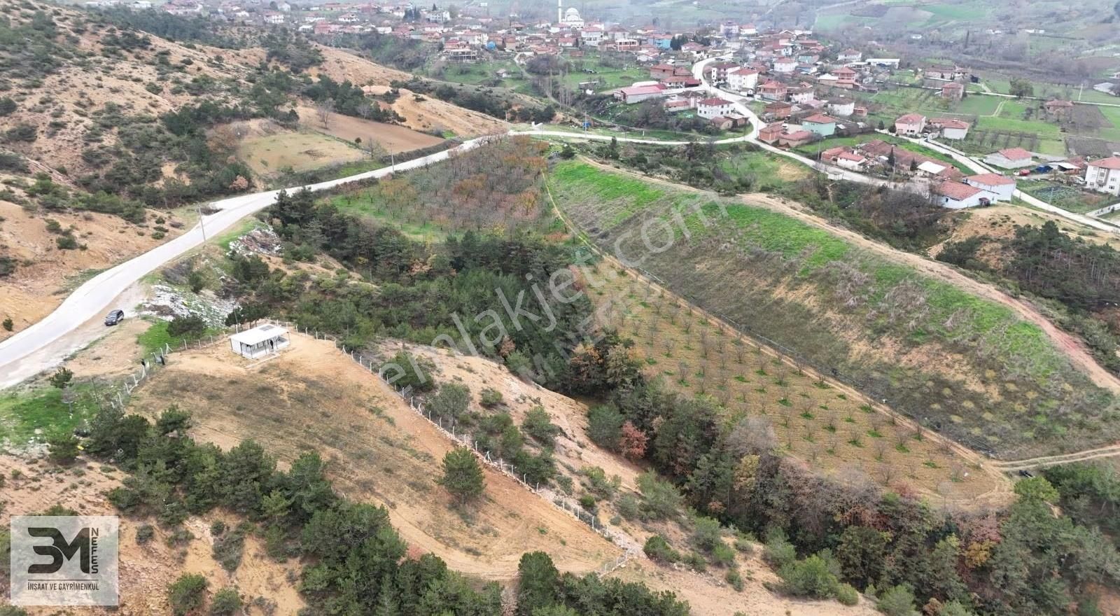 Geyve Akdoğan 1700 M² Arsa Ve Konteyner - Görsel 4
