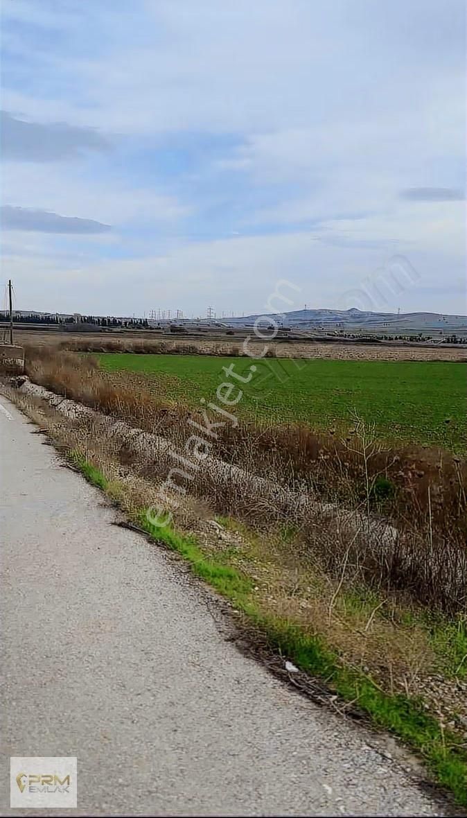 Gelibolu Bolayır Denize Yakın Yola Cephe 450 M² Parsel