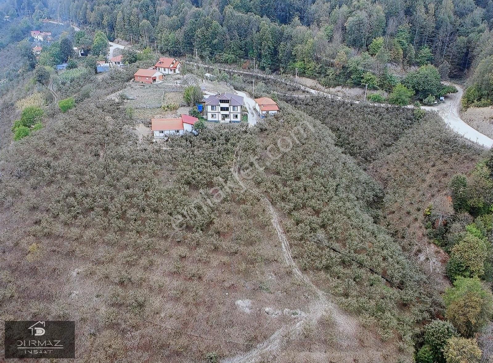 Taşyatak'ta Eşsiz Manzaralı, İki Evli 24 Dönüm Cennet - Görsel 33