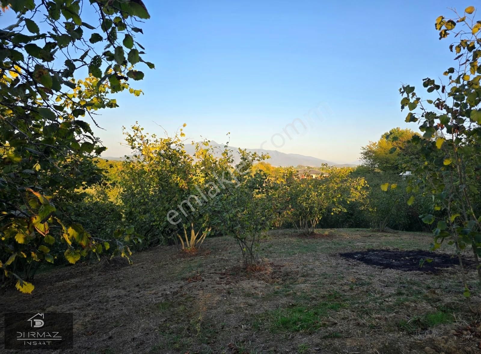 Sakarya'nin En Nadir Doğa Parçası, Dere, Kaynak Suyu, Fındık. - Görsel 33