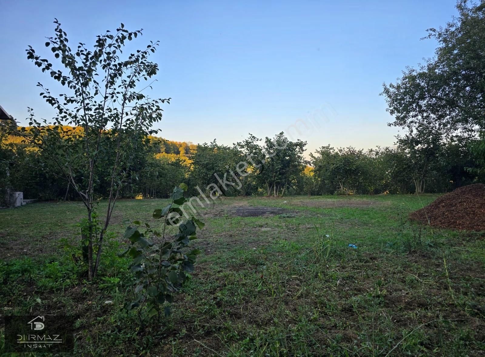 Sakarya'nin En Nadir Doğa Parçası, Dere, Kaynak Suyu, Fındık. - Görsel 8