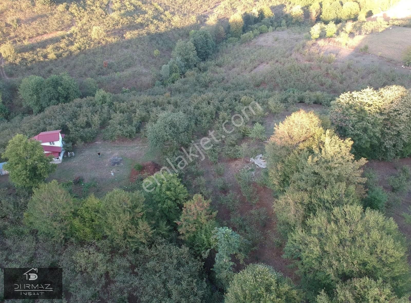 Sakarya'nin En Nadir Doğa Parçası, Dere, Kaynak Suyu, Fındık. - Görsel 21