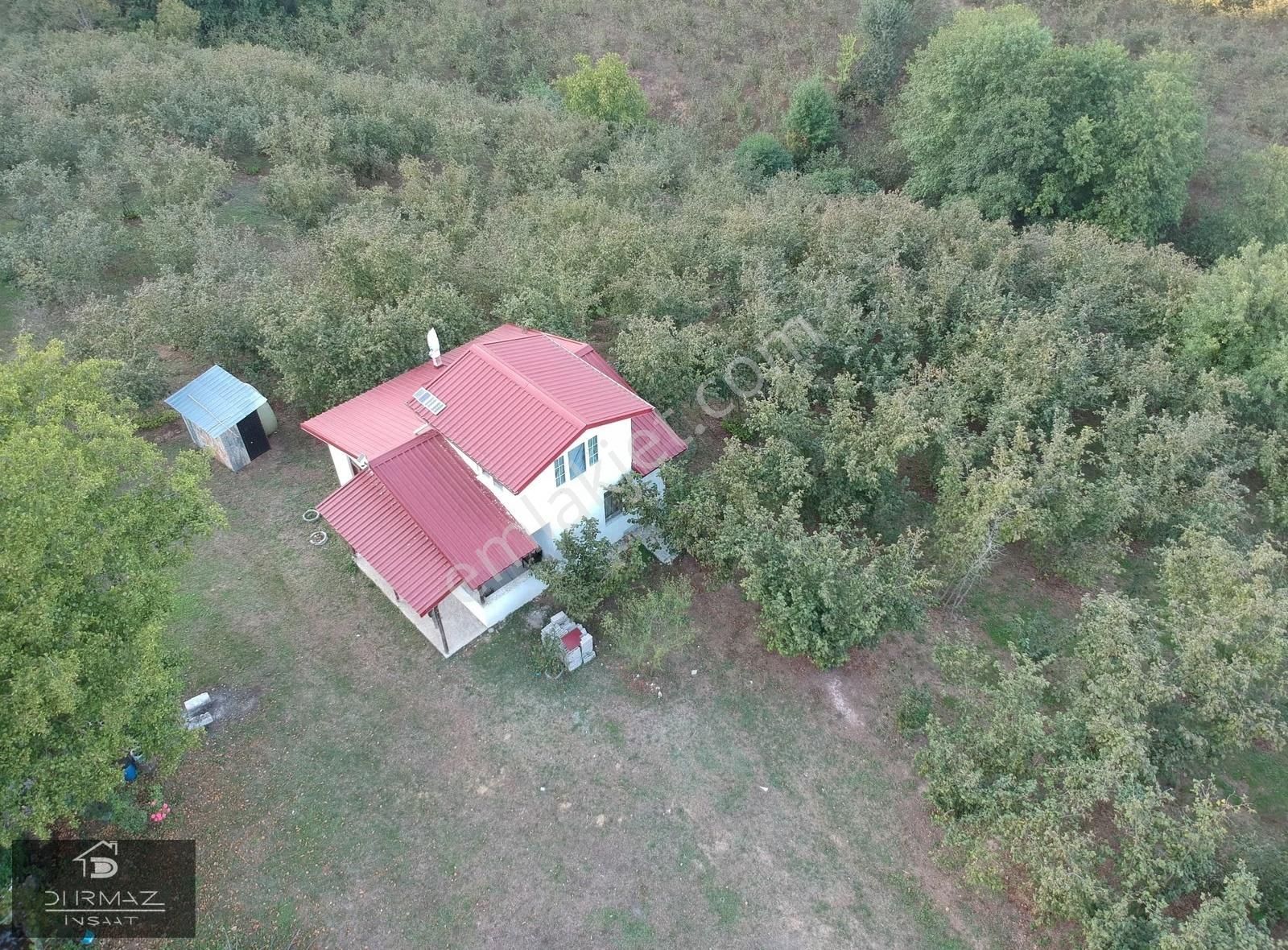 Sakarya'nin En Nadir Doğa Parçası, Dere, Kaynak Suyu, Fındık. - Görsel 28