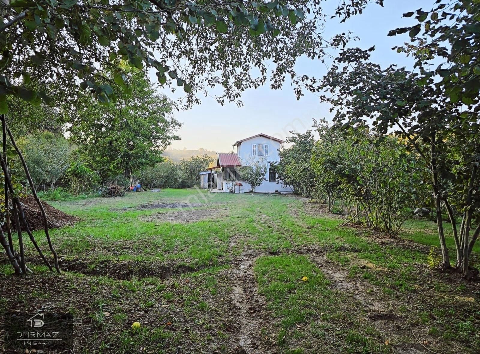 Sakarya'nin En Nadir Doğa Parçası, Dere, Kaynak Suyu, Fındık. - Görsel 19