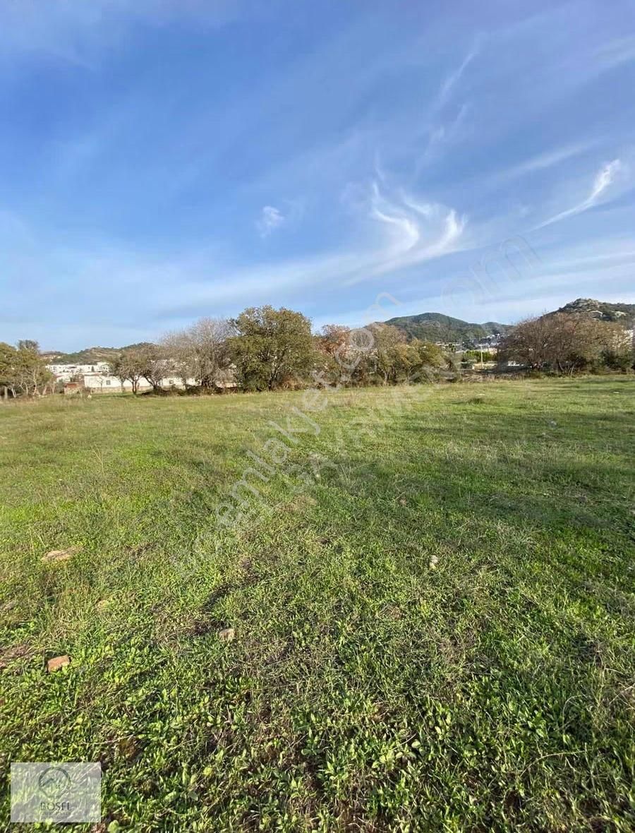 Yalıkavak Gökçebelde 7.600 M² Hisseli Satılık Tarla - Görsel 4