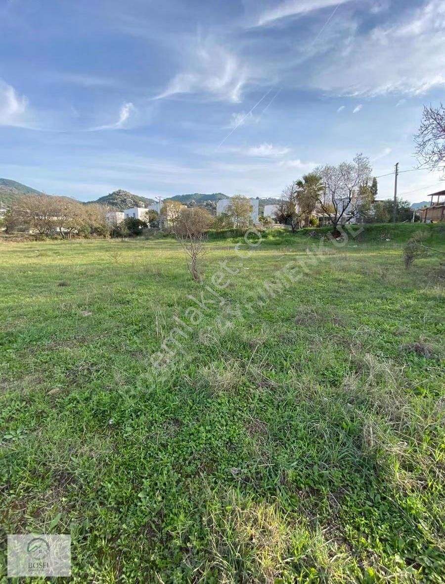 Yalıkavak Gökçebelde 7.600 M² Hisseli Satılık Tarla - Görsel 7