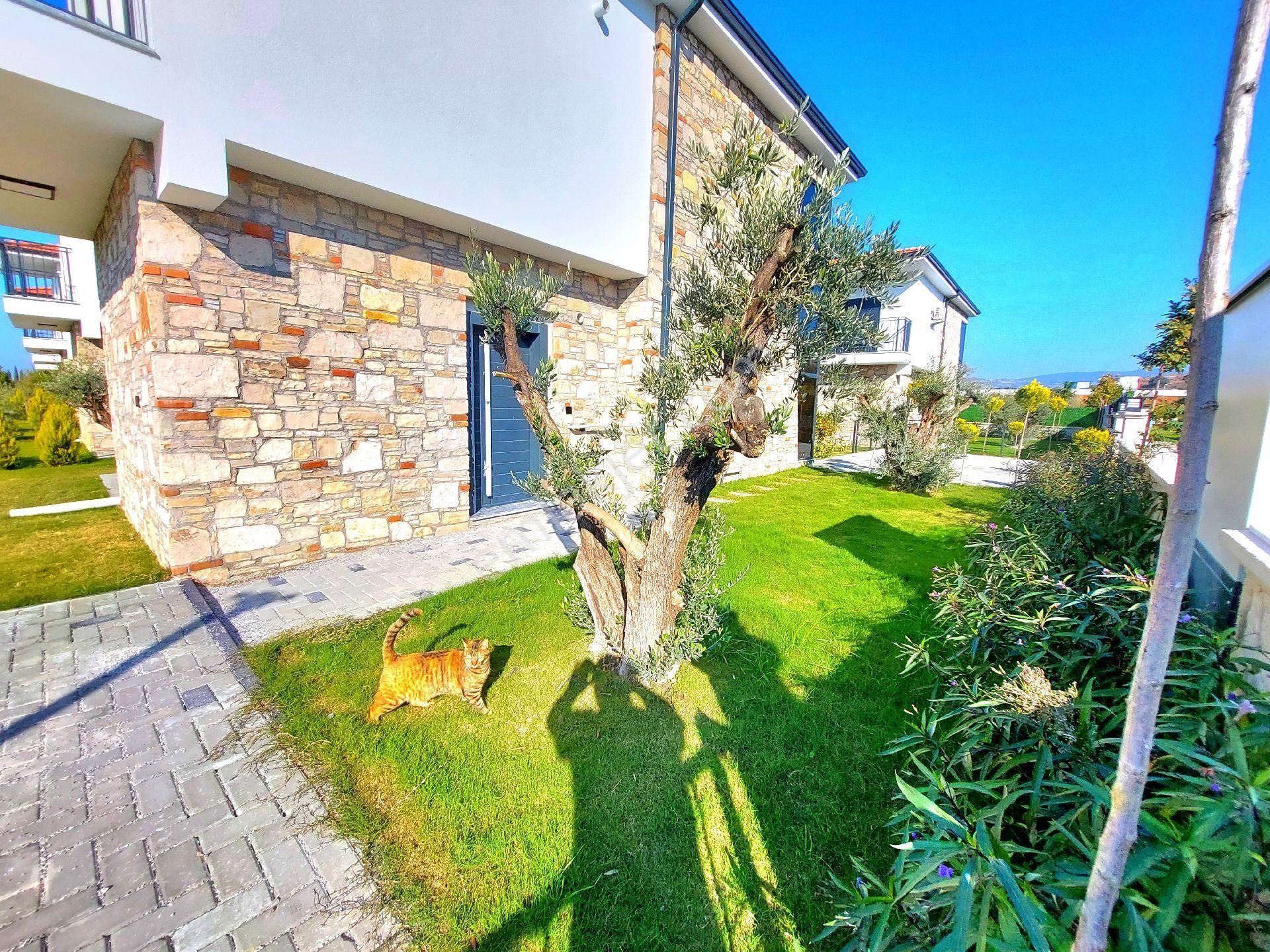 Davutlarda Özel Havuzlu Köşe Konumlu Tek Müstakil Geniş Bahçeli Sıfır Villa - Görsel 4