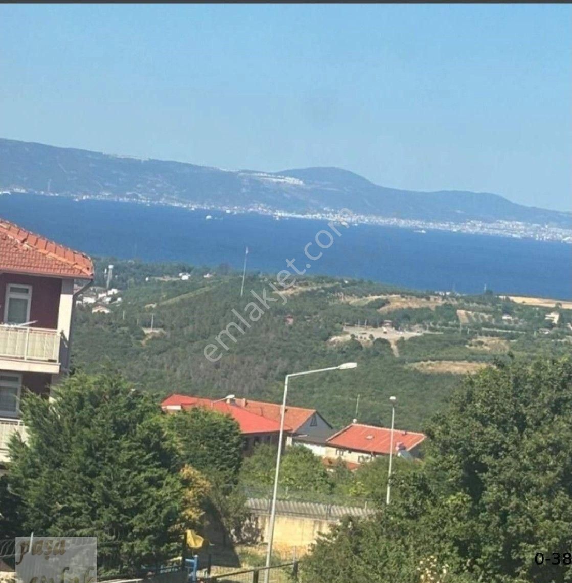 Katta Yalovada - Görsel 3