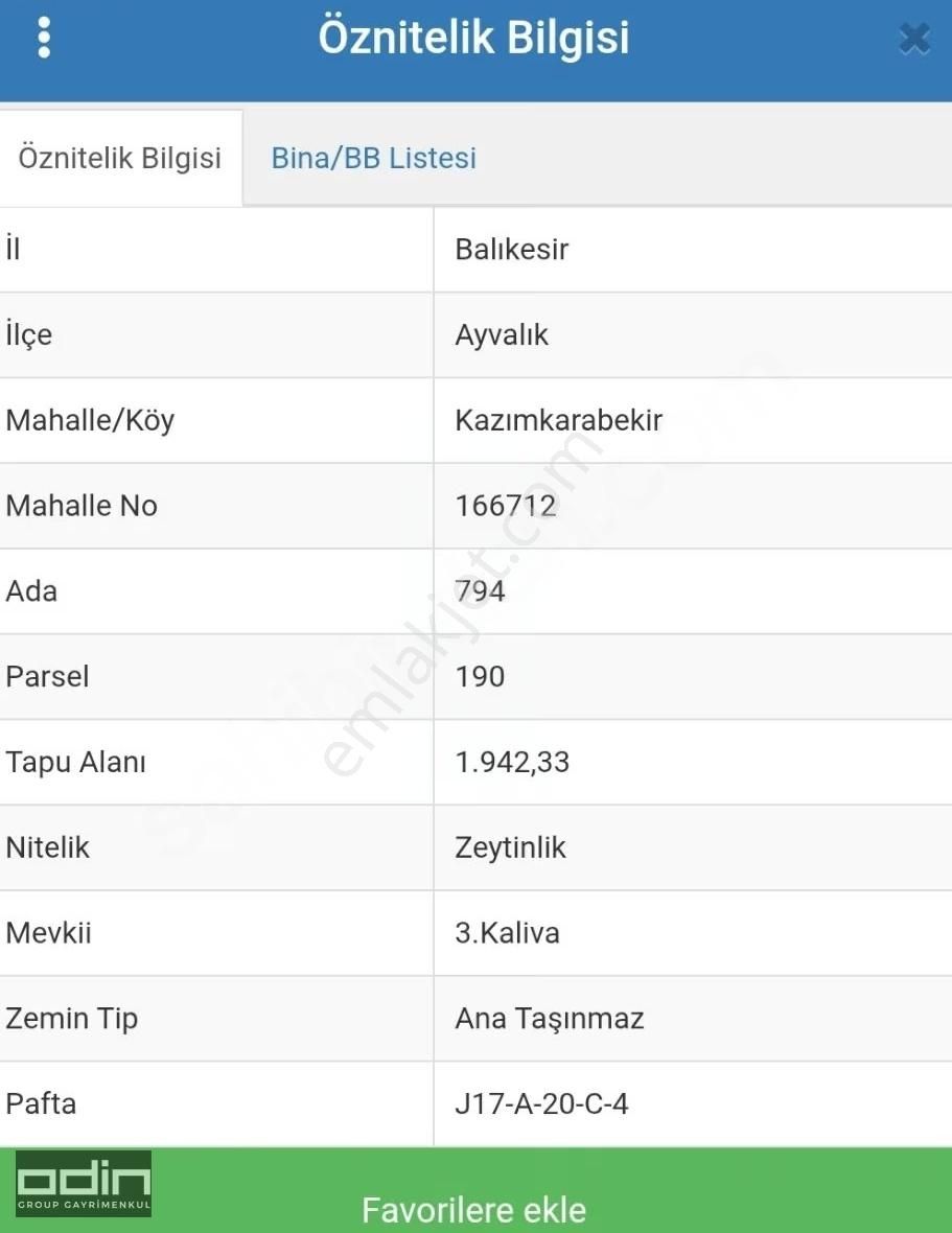 Kanala Ve Yola Sıfır Zeytinlik - Görsel 2