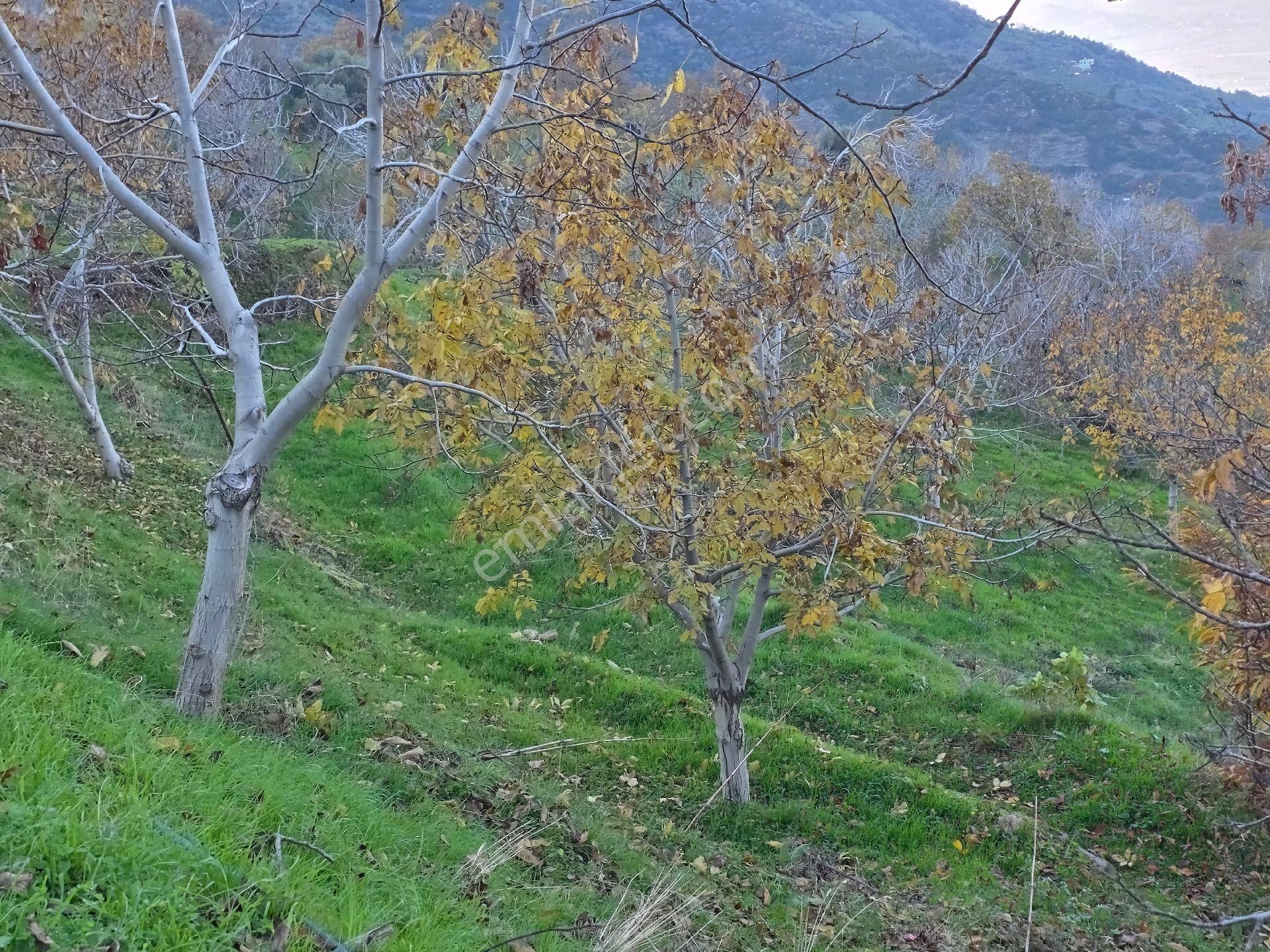 Muhteşem Konumda Tarlamız Satılıktır - Görsel 20
