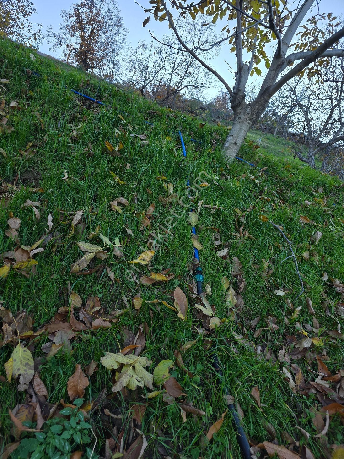 Muhteşem Konumda Tarlamız Satılıktır - Görsel 21