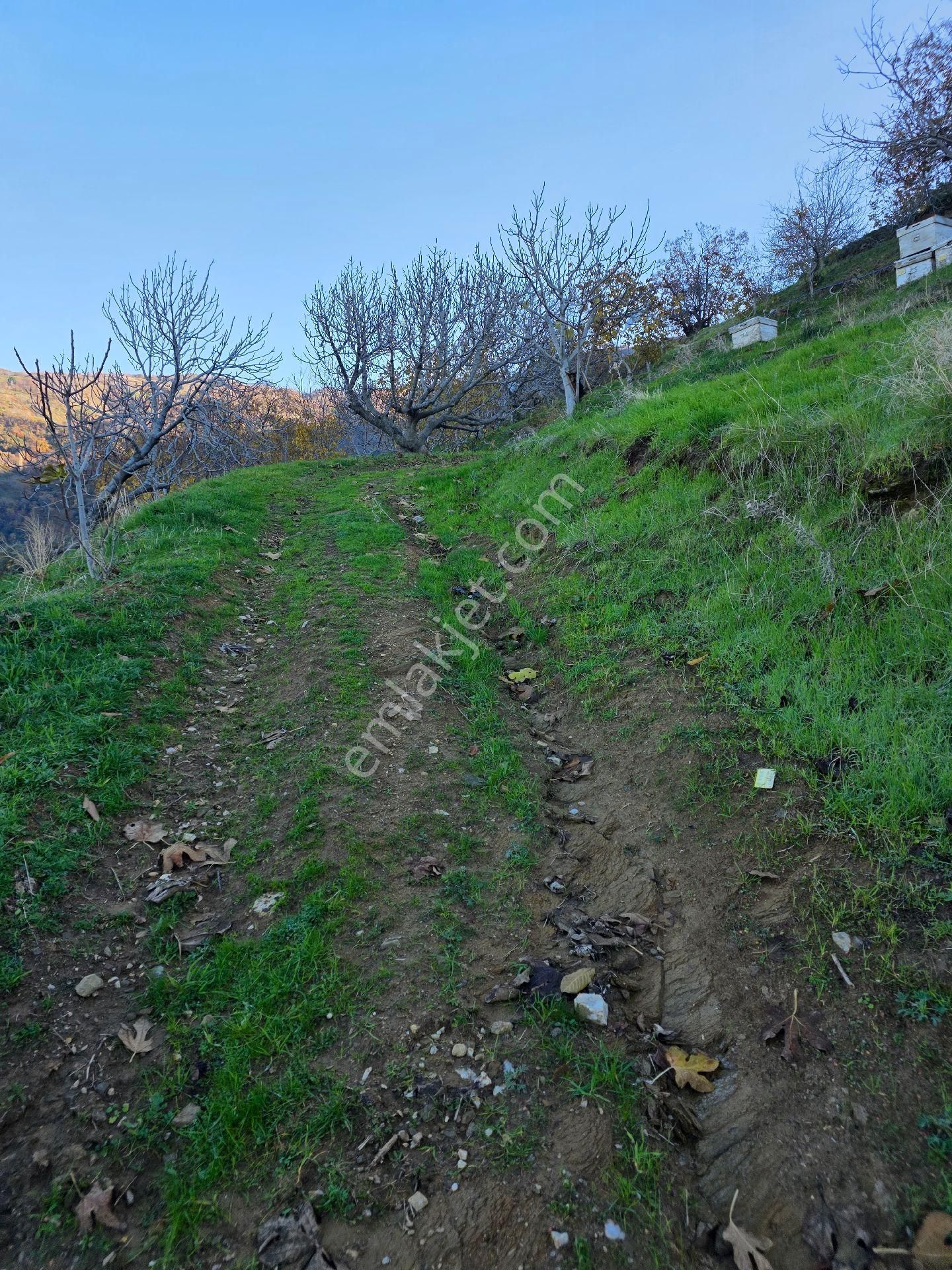 Muhteşem Konumda Tarlamız Satılıktır - Görsel 4