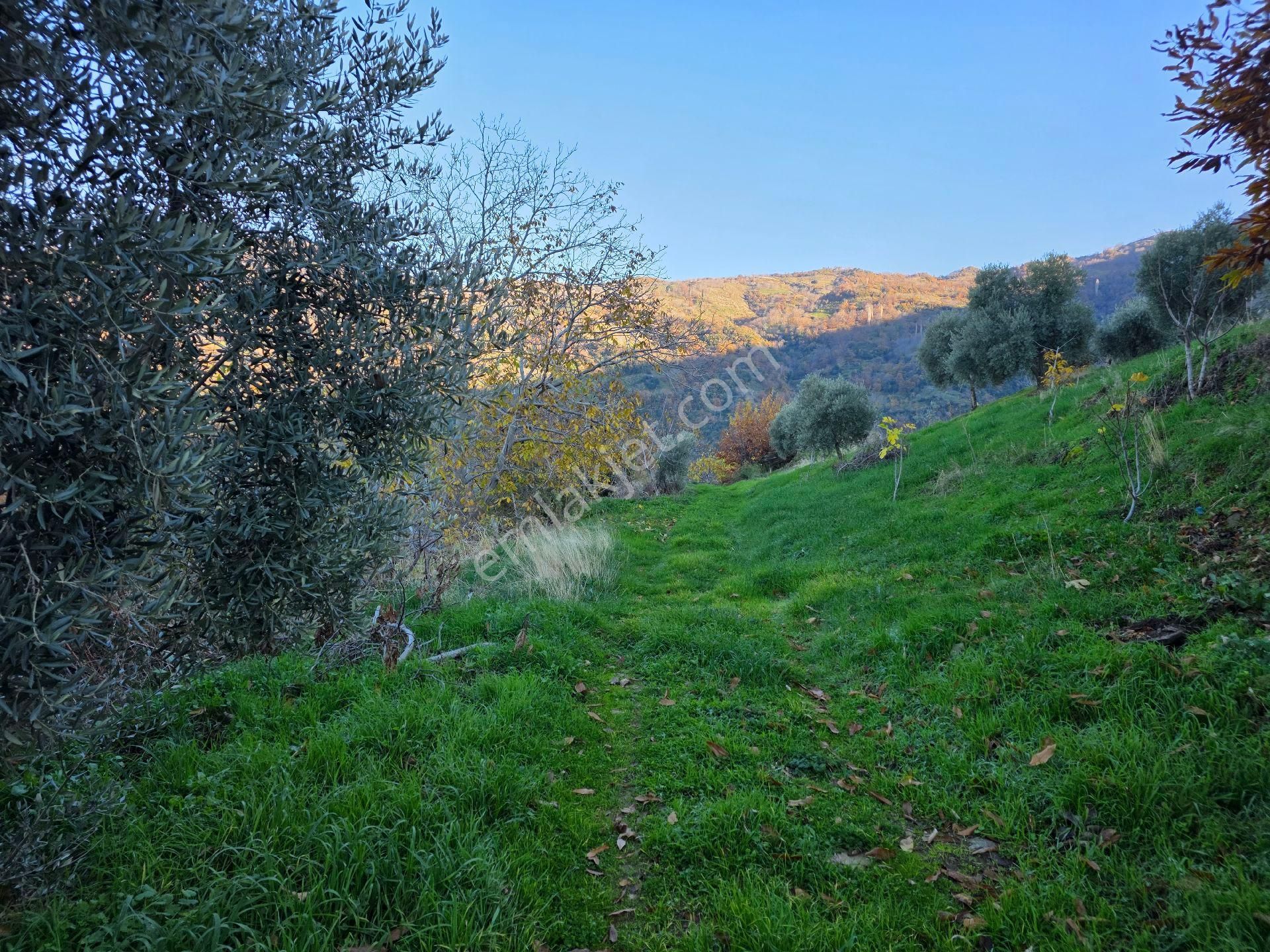 Muhteşem Konumda Tarlamız Satılıktır - Görsel 15
