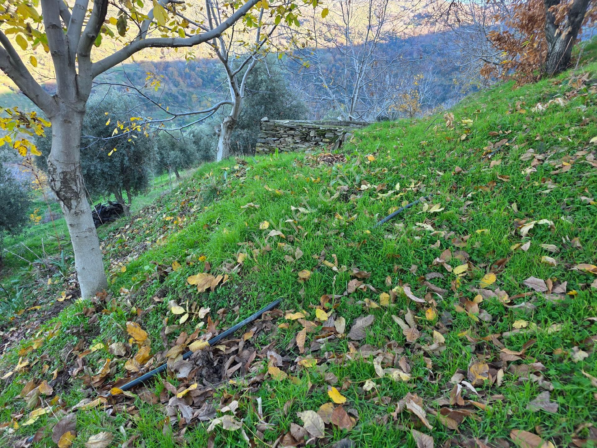 Muhteşem Konumda Tarlamız Satılıktır - Görsel 17