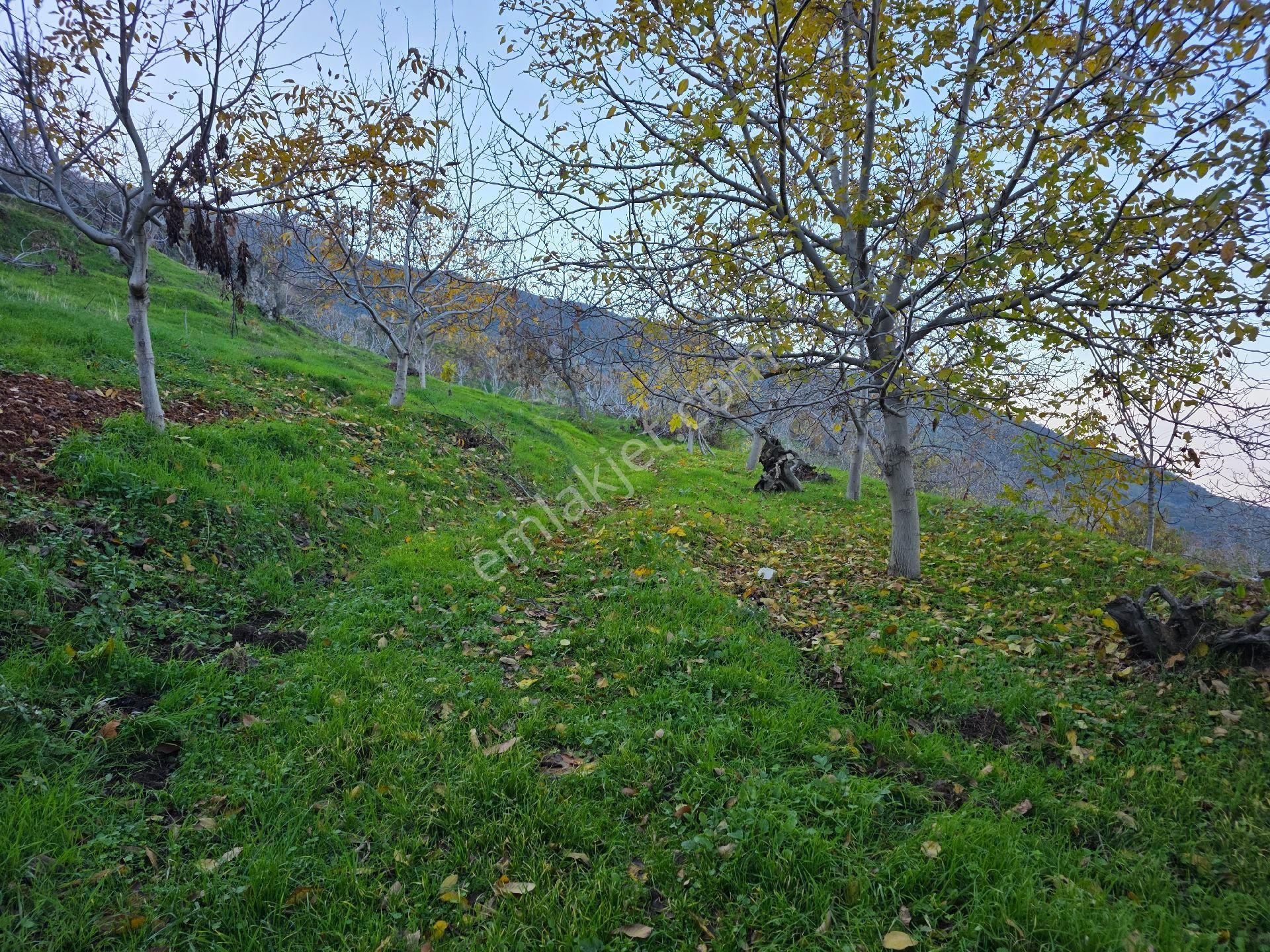 Muhteşem Konumda Tarlamız Satılıktır - Görsel 25