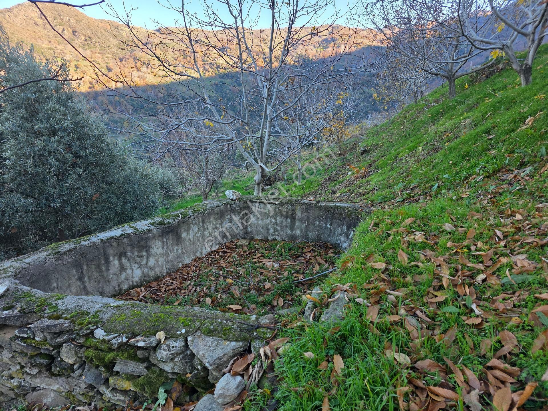 Muhteşem Konumda Tarlamız Satılıktır - Görsel 18