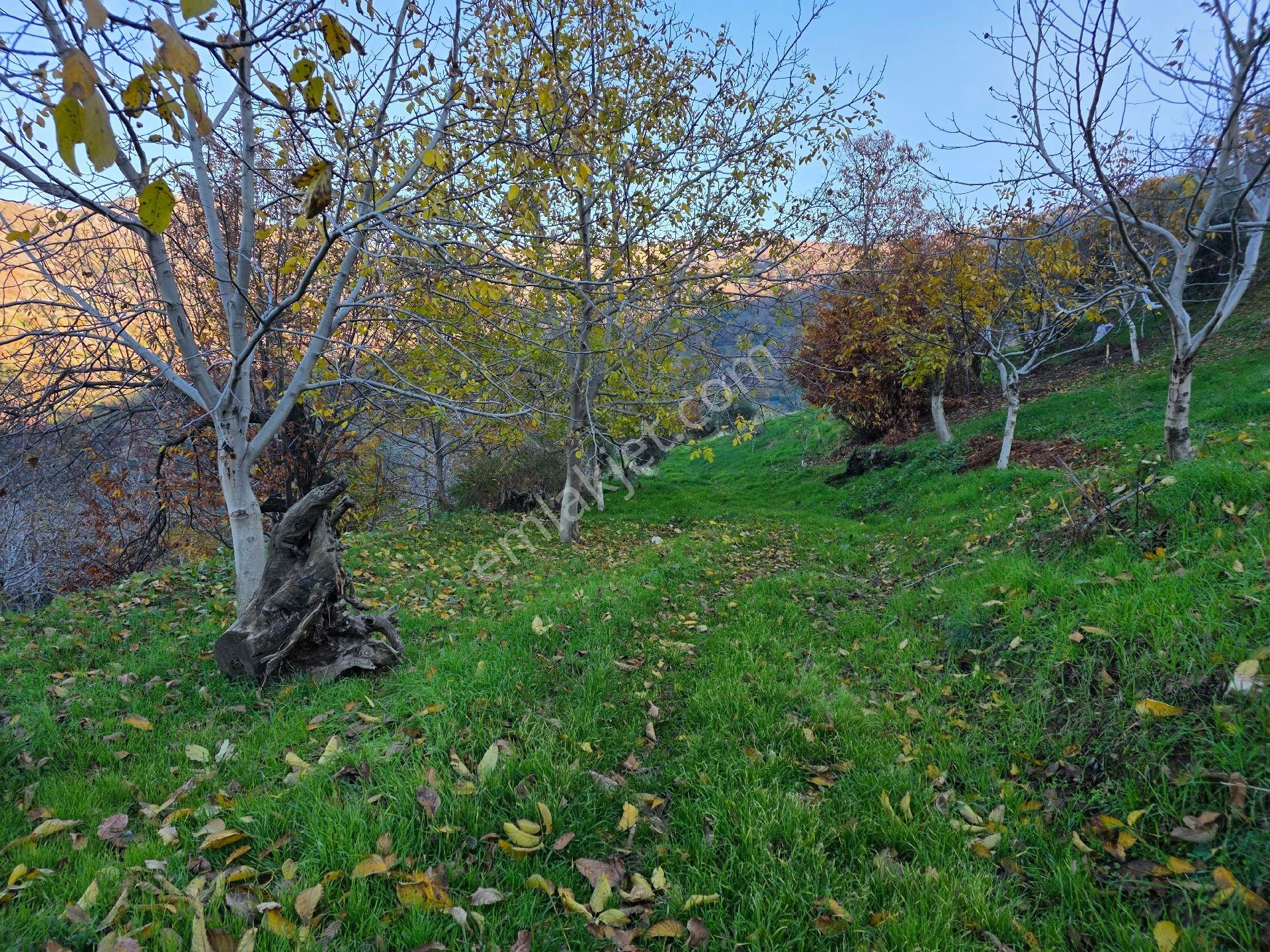 Muhteşem Konumda Tarlamız Satılıktır - Görsel 11