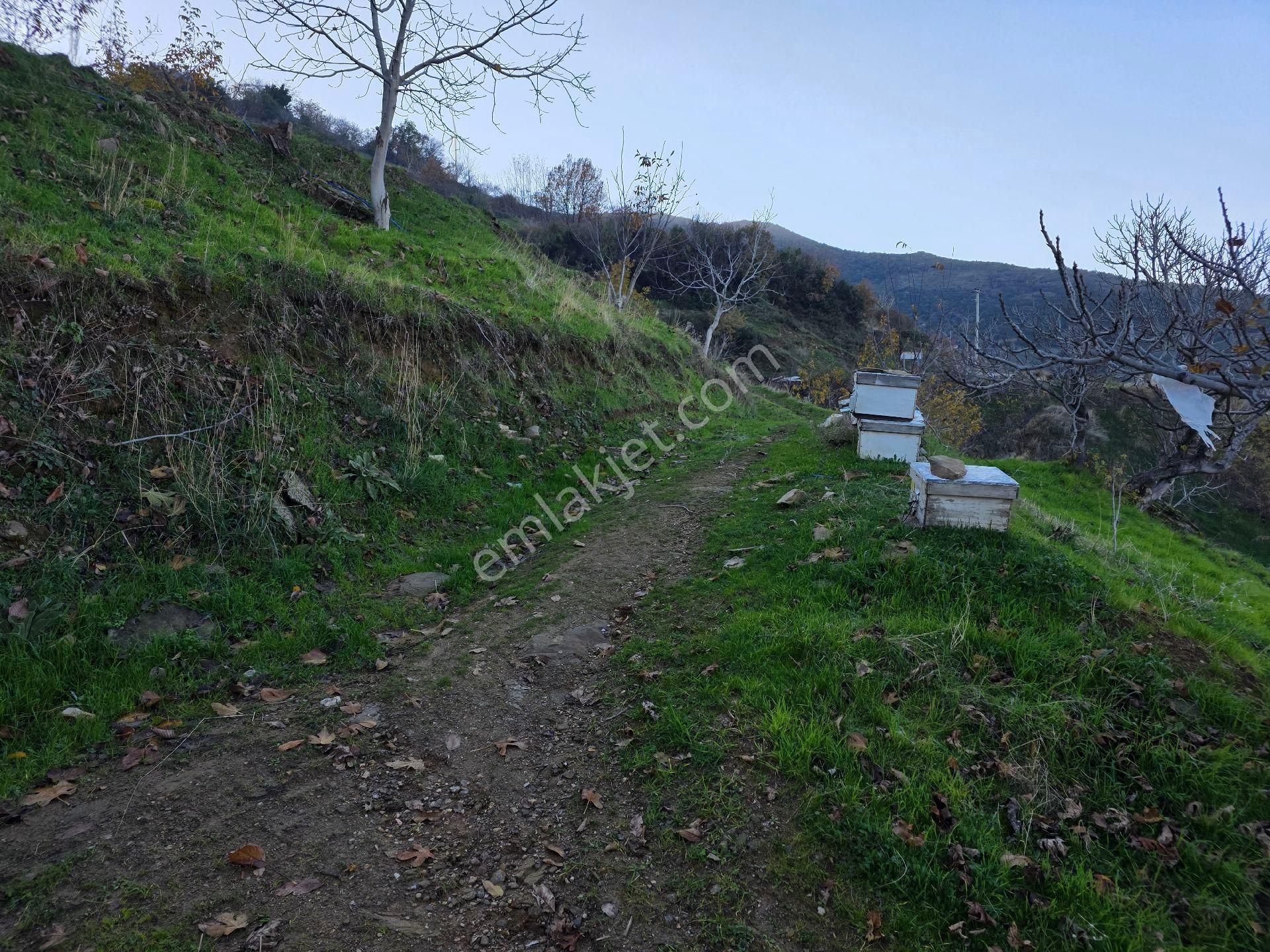 Muhteşem Konumda Tarlamız Satılıktır - Görsel 8