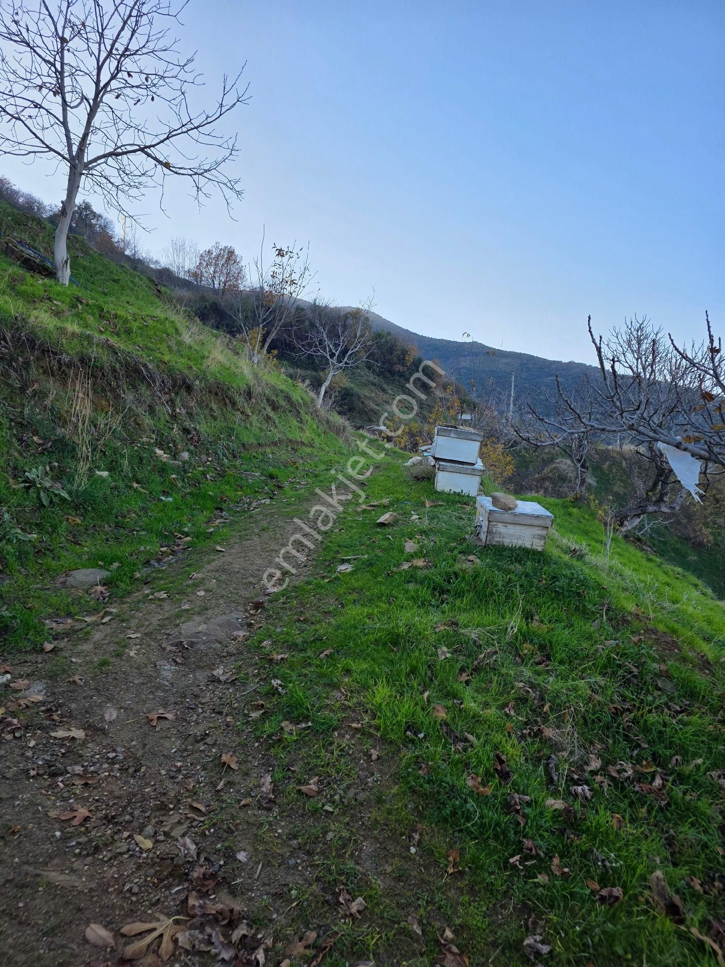 Muhteşem Konumda Tarlamız Satılıktır - Görsel 6