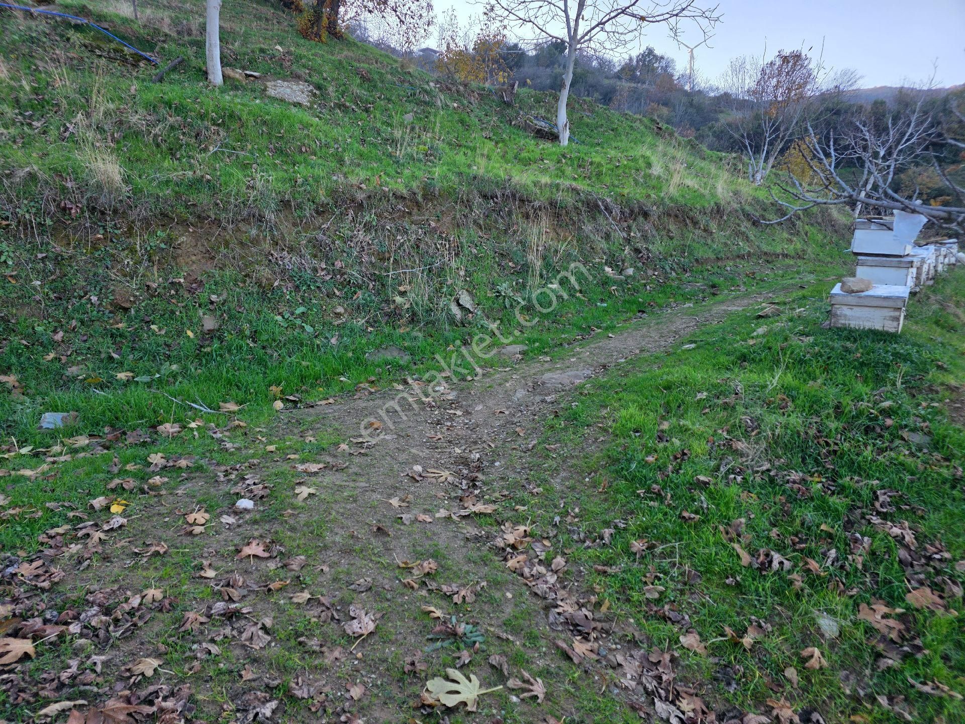 Muhteşem Konumda Tarlamız Satılıktır - Görsel 7