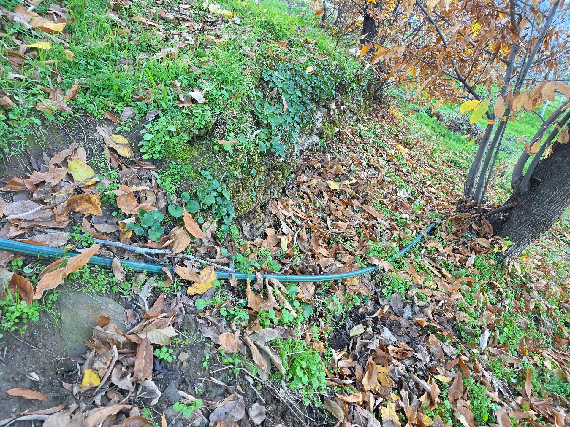 Muhteşem Konumda Tarlamız Satılıktır - Görsel 23