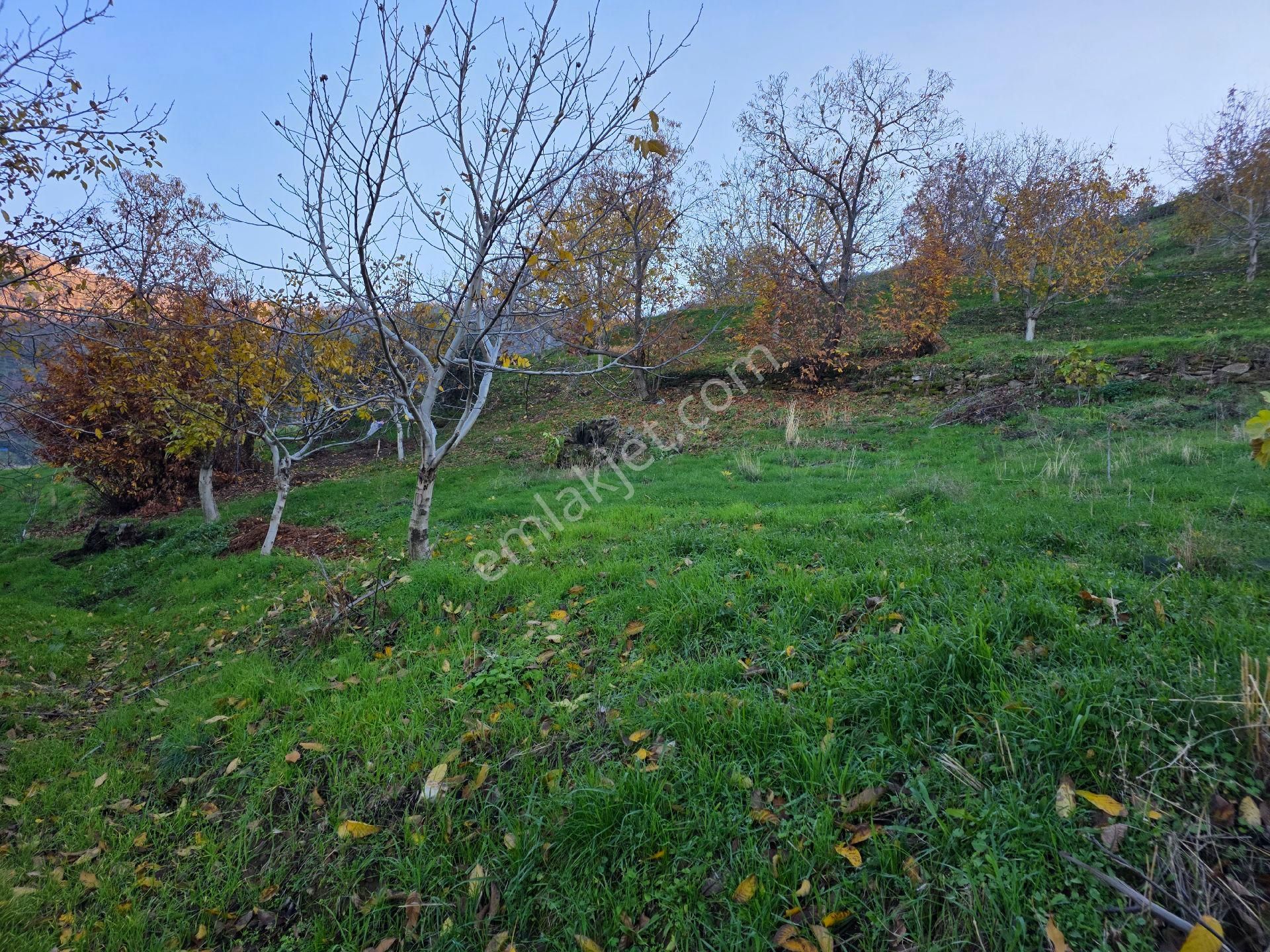 Muhteşem Konumda Tarlamız Satılıktır - Görsel 12