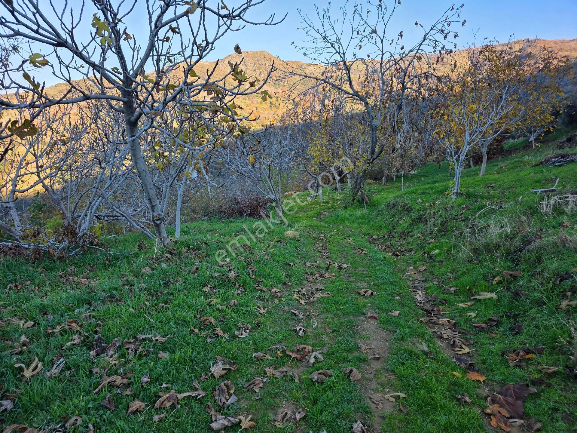 Muhteşem Konumda Tarlamız Satılıktır - Görsel 2