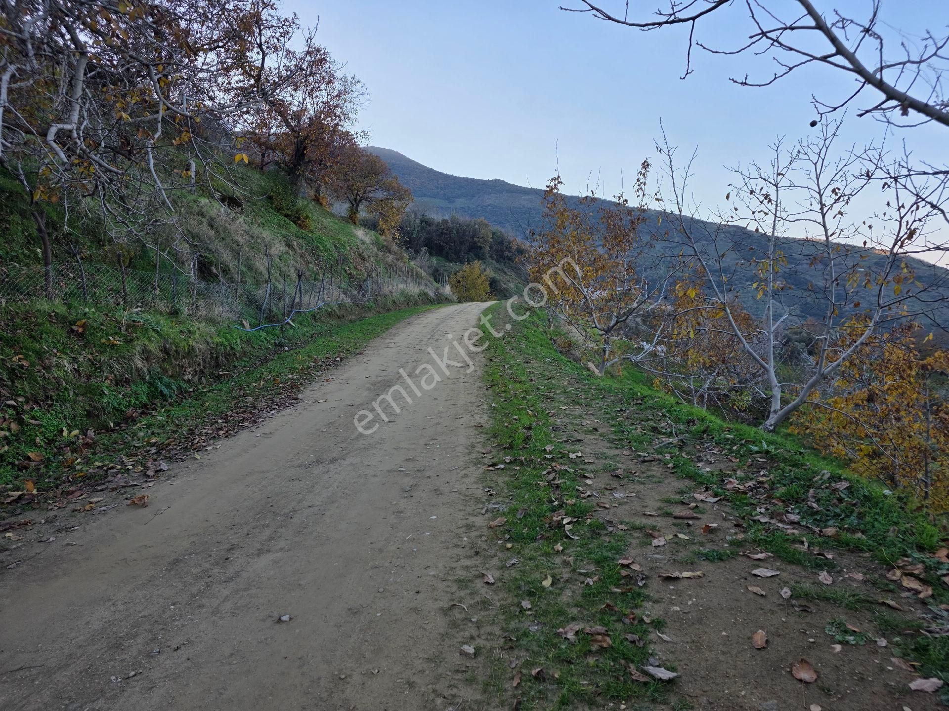 Muhteşem Konumda Tarlamız Satılıktır - Görsel 19