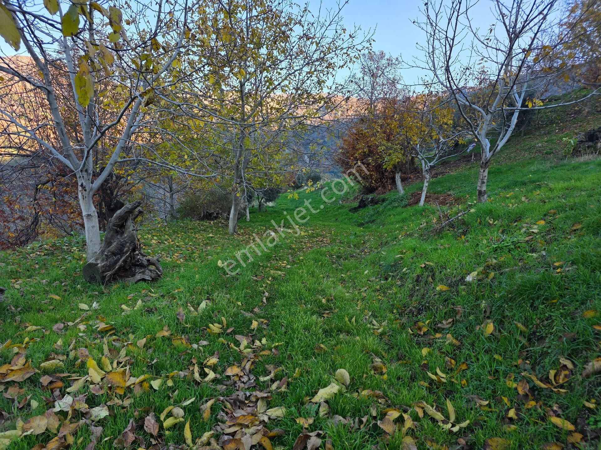 Muhteşem Konumda Tarlamız Satılıktır - Görsel 13