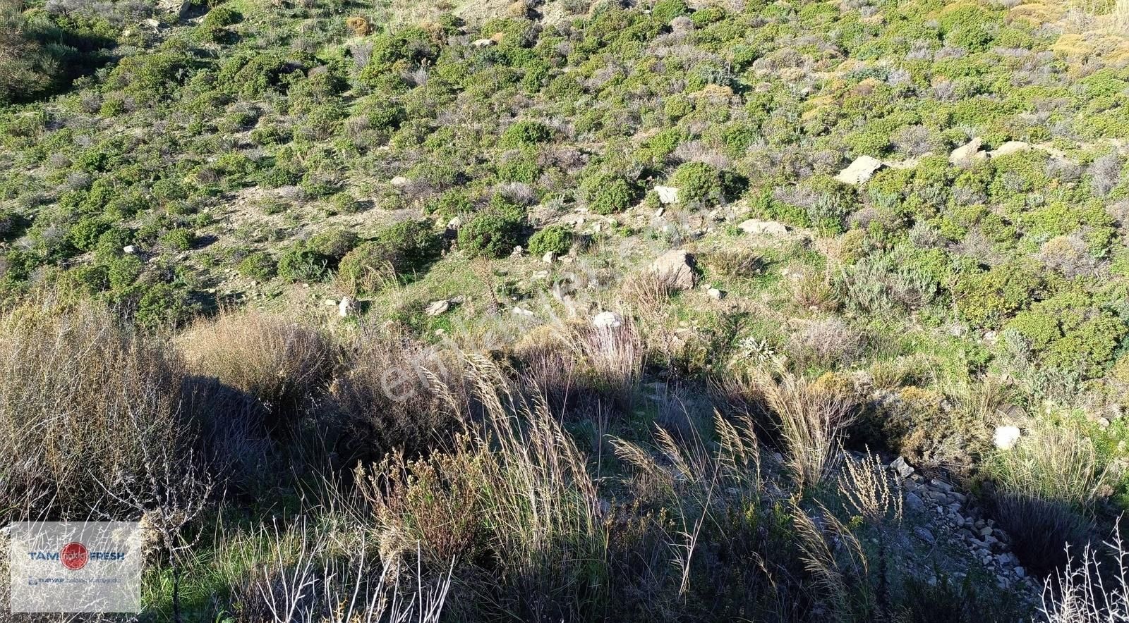 Ana Yola Cepheli, Panaromik Deniz Manzaralı, Yatırımlık Arazi - Görsel 13