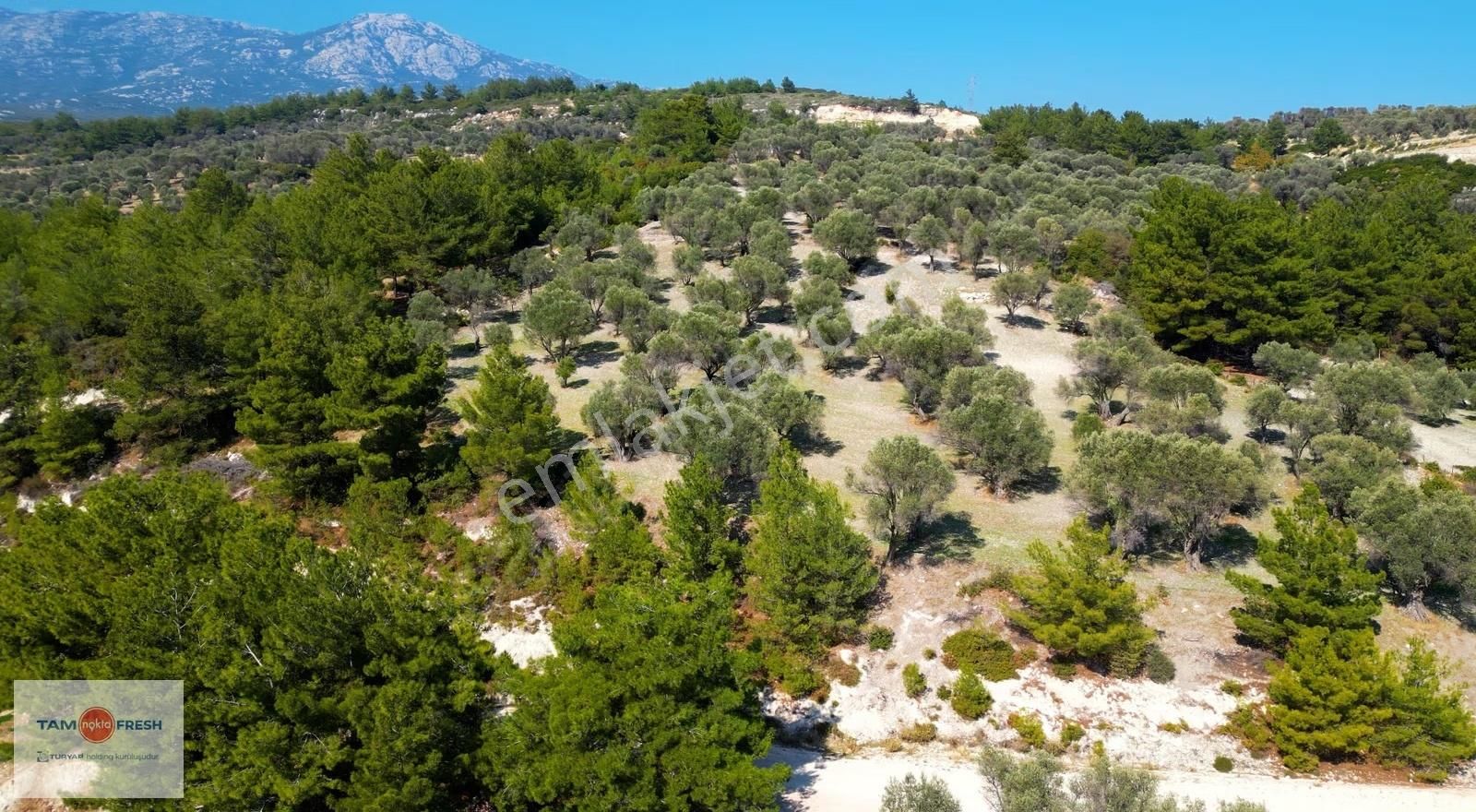 Eğlenhoca'da Doğa Ve Gölet Manzaralı Tarım İmarına Uygun Tarla - Görsel 21