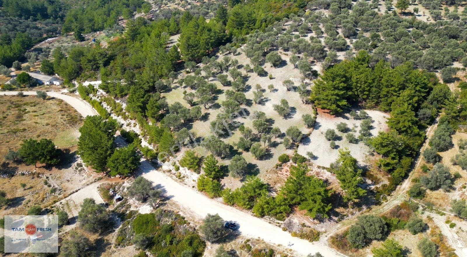 Eğlenhoca'da Doğa Ve Gölet Manzaralı Tarım İmarına Uygun Tarla - Görsel 27