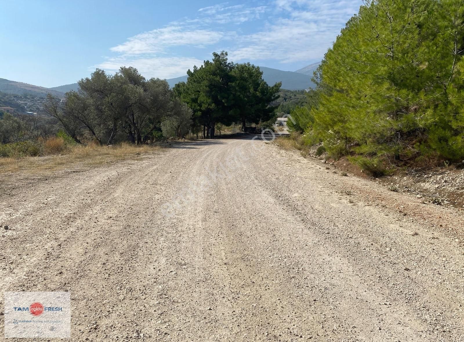 Eğlenhoca'da Doğa Ve Gölet Manzaralı Tarım İmarına Uygun Tarla - Görsel 11