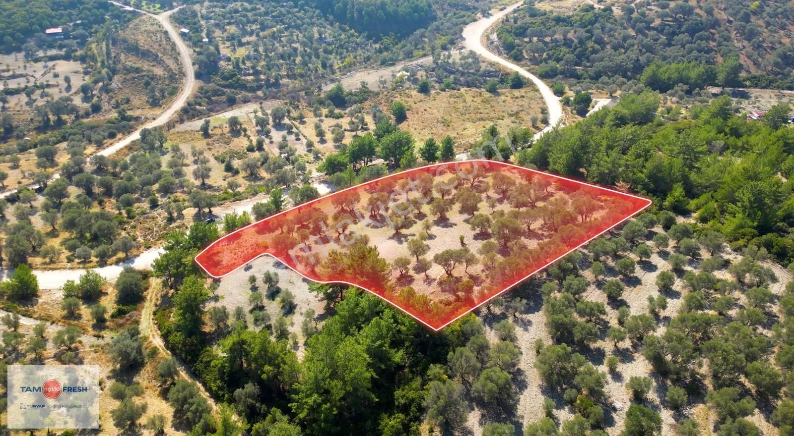 Eğlenhoca'da Doğa Ve Gölet Manzaralı Tarım İmarına Uygun Tarla - Görsel 22