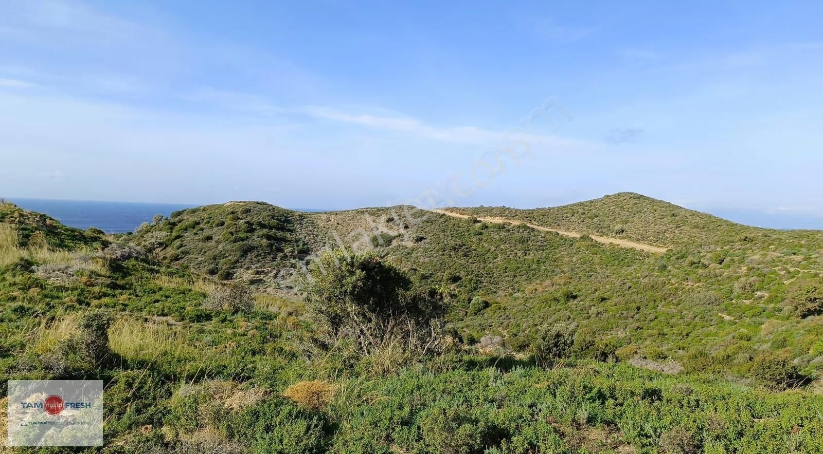 Deniz Manzaralı ,yola Cepheli, Yatırımlık Arazi - Görsel 16