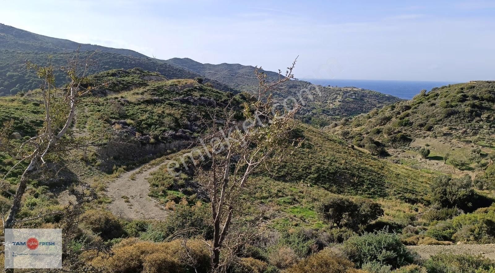 Deniz Manzaralı ,yola Cepheli, Yatırımlık Arazi - Görsel 22