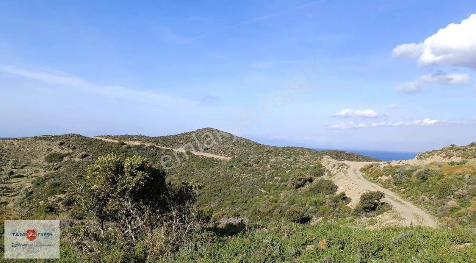 Deniz Manzaralı ,yola Cepheli, Yatırımlık Arazi - Görsel 6