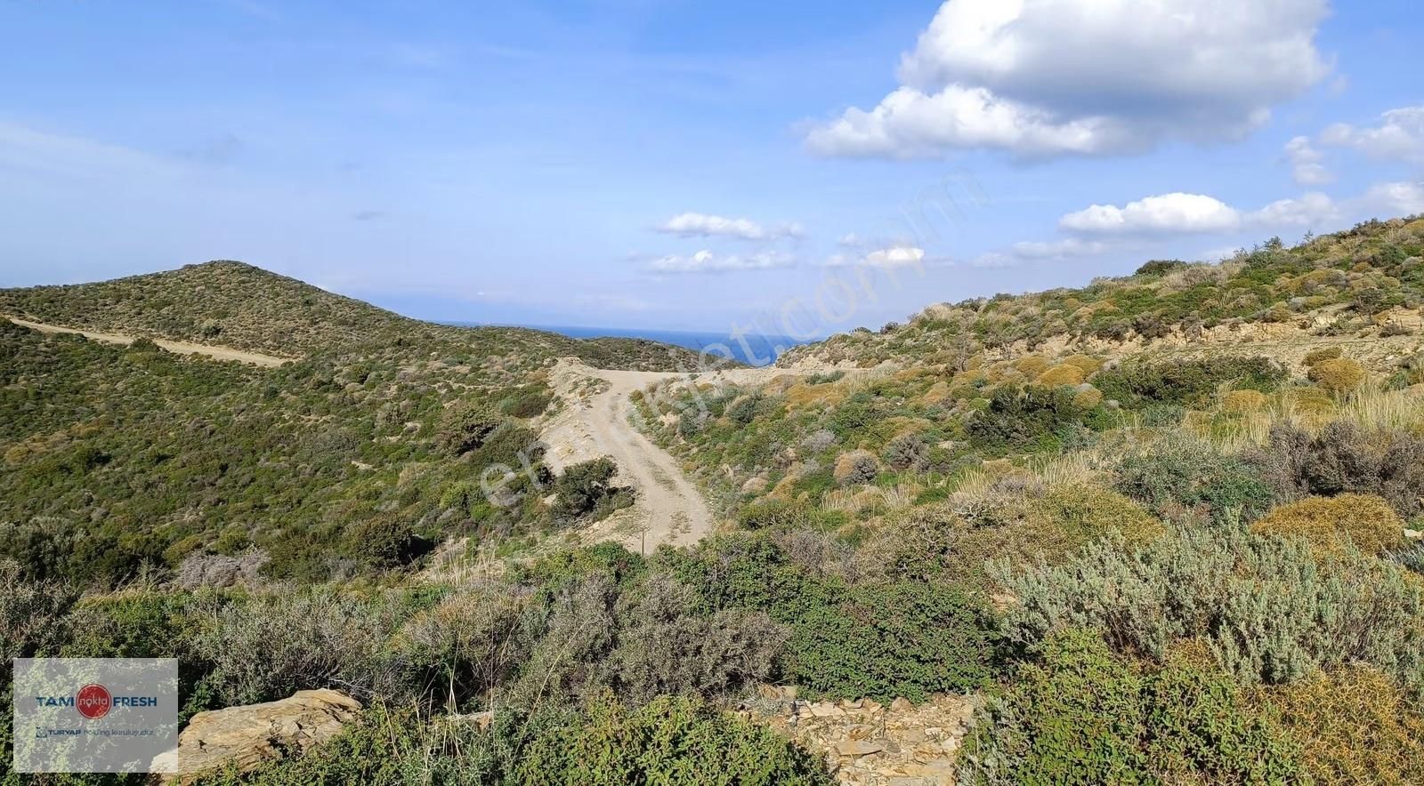 Deniz Manzaralı ,yola Cepheli, Yatırımlık Arazi - Görsel 14