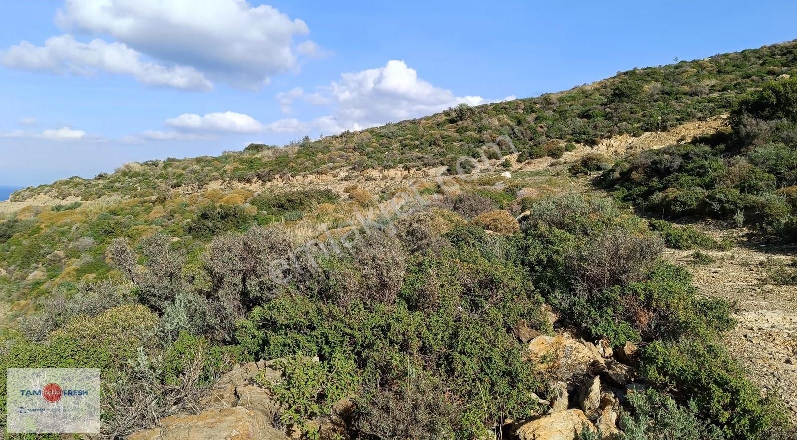 Deniz Manzaralı ,yola Cepheli, Yatırımlık Arazi - Görsel 19