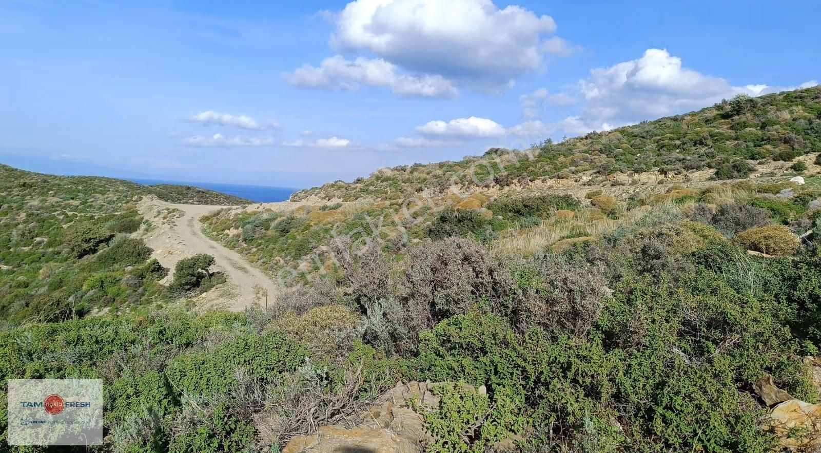 Deniz Manzaralı ,yola Cepheli, Yatırımlık Arazi - Görsel 9