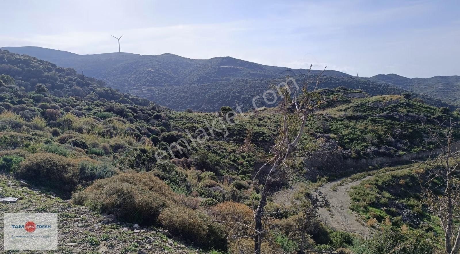 Deniz Manzaralı ,yola Cepheli, Yatırımlık Arazi - Görsel 20