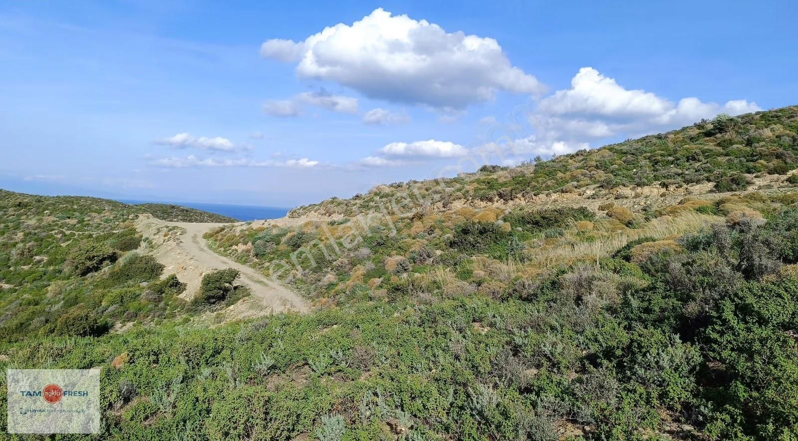 Deniz Manzaralı ,yola Cepheli, Yatırımlık Arazi - Görsel 11